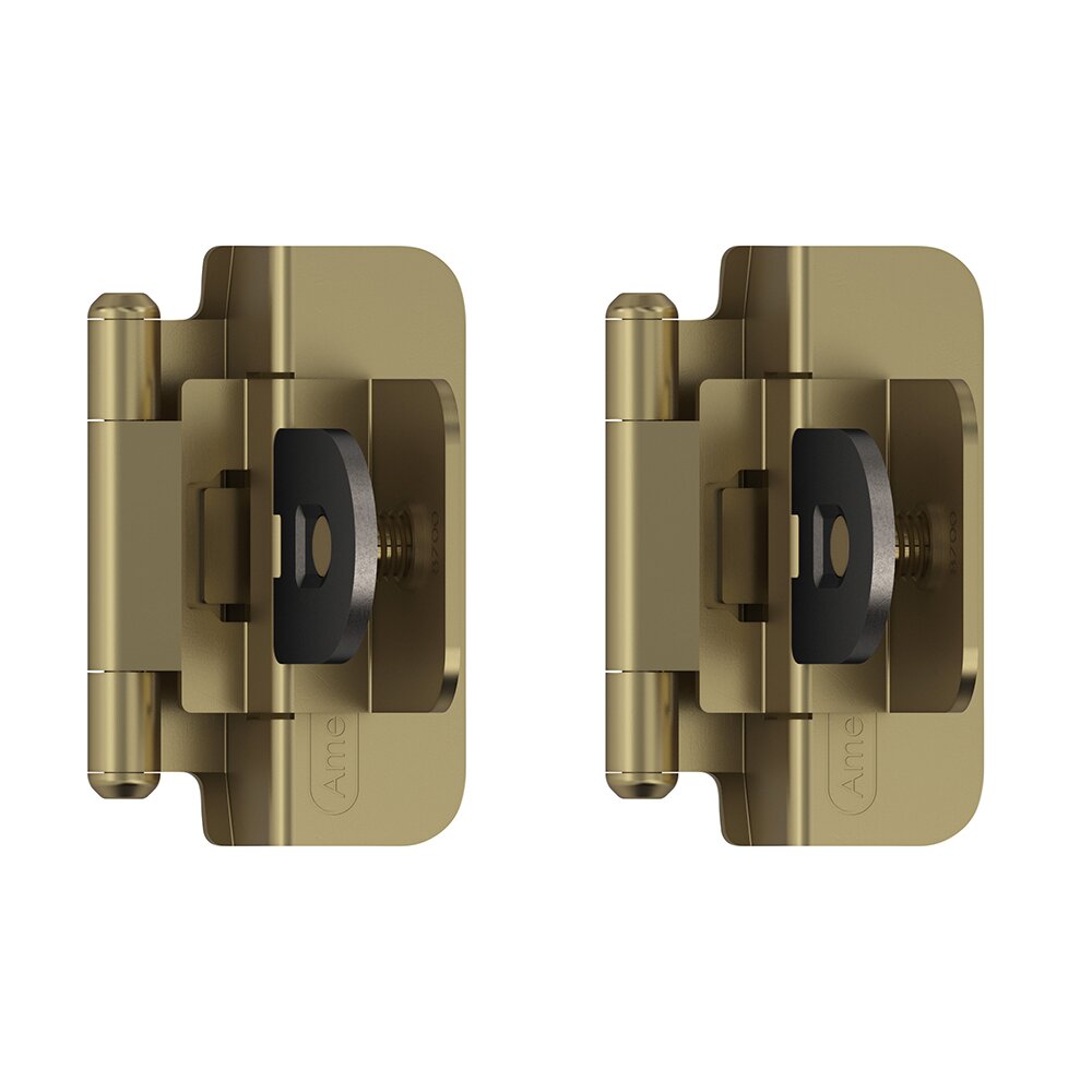 3/8" (10 mm) Inset Double Demountable Cabinet Hinge (Pair) in Golden Champagne