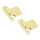 Self Closing Face Mount 3/8" Inset Hinge (Pair) in Bright Brass
